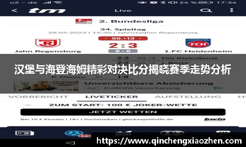 汉堡与海登海姆精彩对决比分揭晓赛季走势分析
